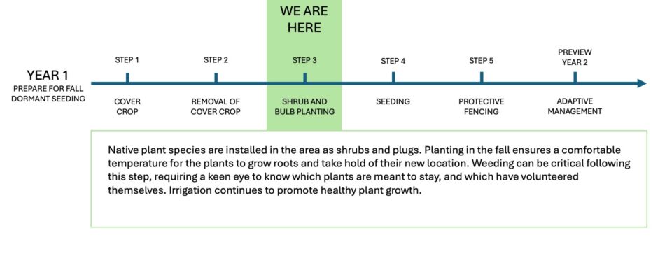 We are here Step 3