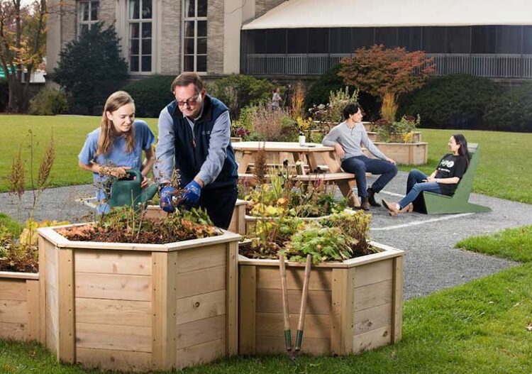 Norman Magnuson (second from left) worked closely with students in the development and maintenance of The Hive sustainability garden.